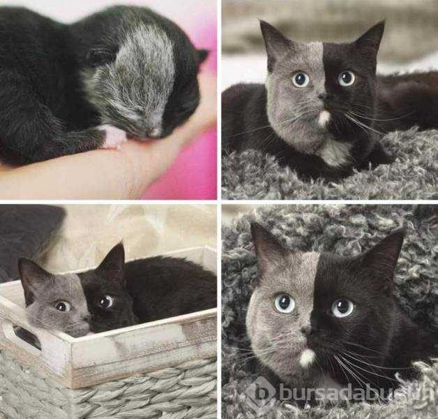 Günün en çok paylaşılan fotoğrafları!