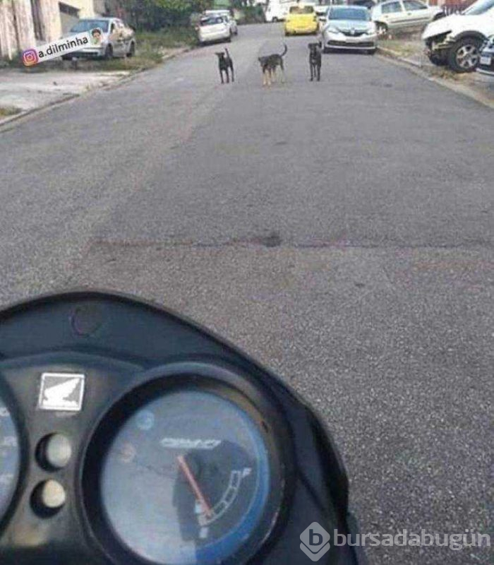 Günün en çok paylaşılan fotoğrafları!