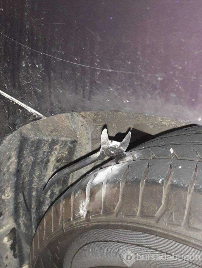 Günün en çok paylaşılan fotoğrafları!