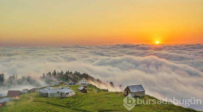 Günün en çok paylaşılan fotoğrafları!