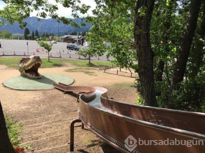 Günün en çok paylaşılan fotoğrafları!