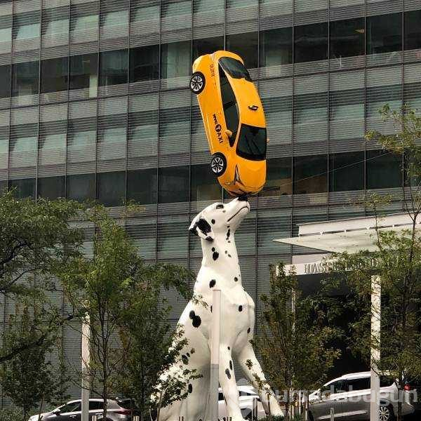 Günün en çok paylaşılan fotoğrafları!