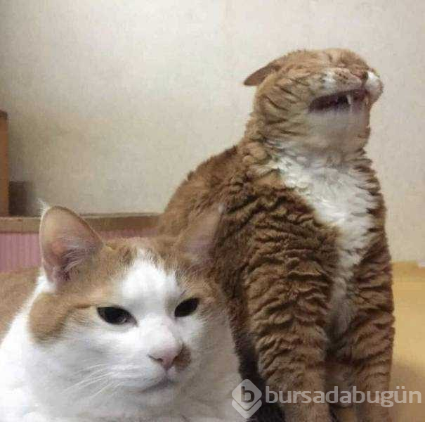 Günün en çok paylaşılan fotoğrafları!