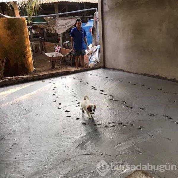 Günün en çok paylaşılan fotoğrafları!