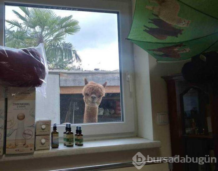 Günün en çok paylaşılan fotoğrafları!