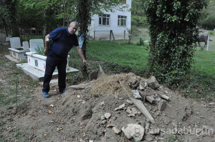 Ayının açtığı iddia edilen mezara fotokapan kuruldu