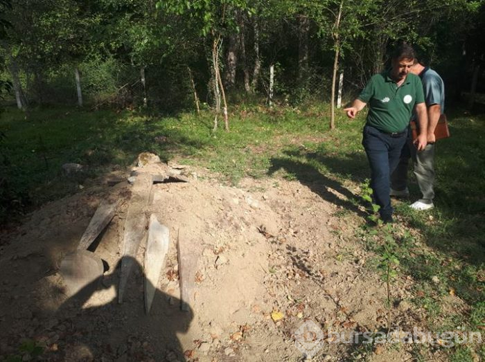 Ayının açtığı iddia edilen mezara fotokapan kuruldu