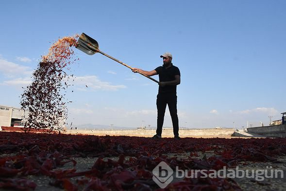'Acılı eller'in mesaisi başladı!