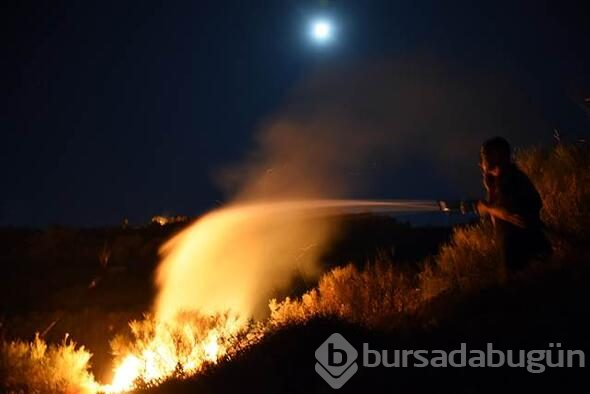 Bodrum'da dev yangın