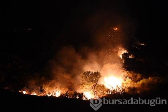 Bodrum'da dev yangın