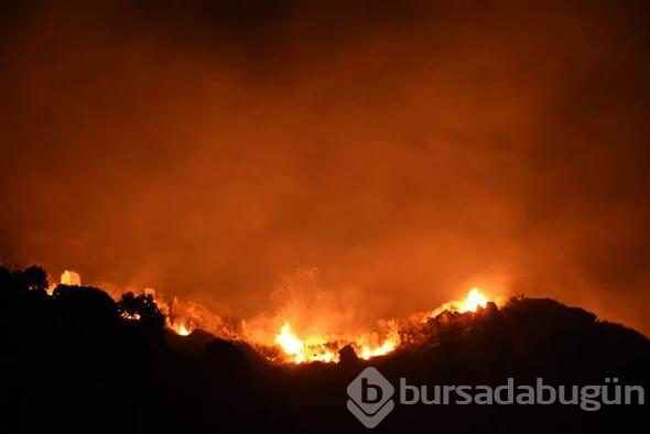 Bodrum'da dev yangın