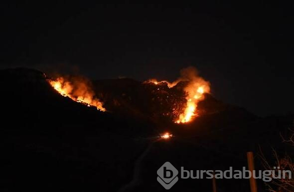 Bodrum'da dev yangın