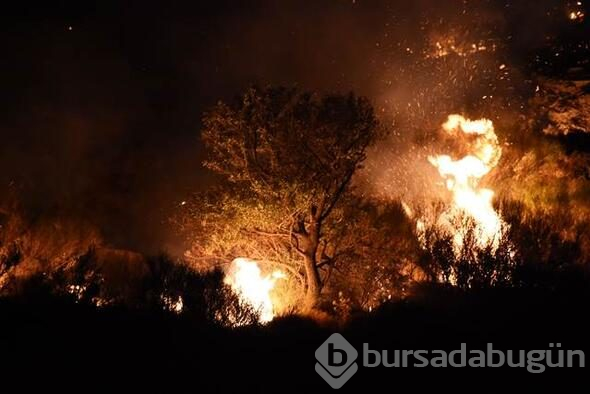 Bodrum'da dev yangın