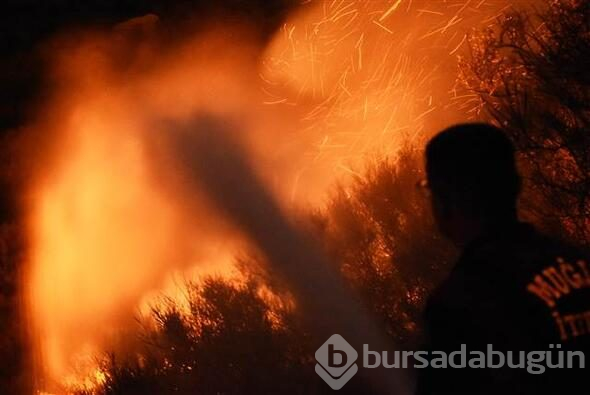 Bodrum'da dev yangın