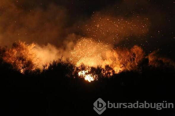 Bodrum'da dev yangın