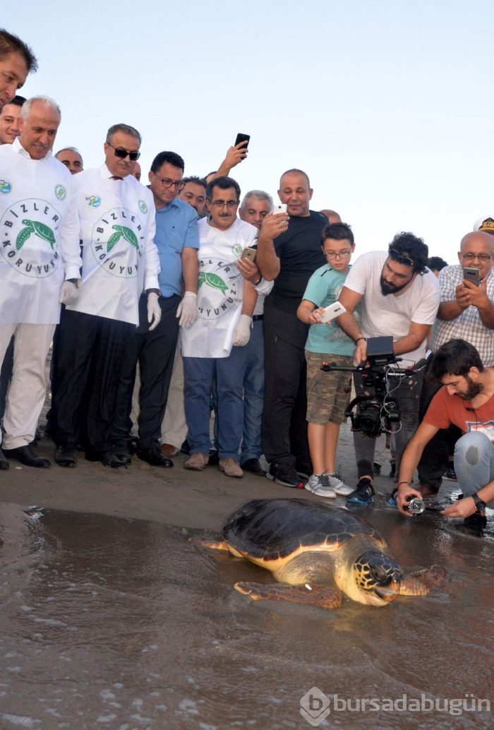 Tedavi edilen caretta carettalar yeniden denizle buluştu