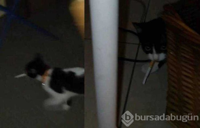 Günün en çok paylaşılan fotoğrafları