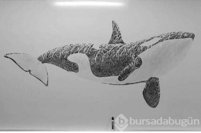 Günün en çok paylaşılan fotoğrafları