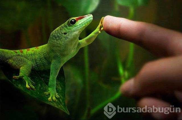 Günün en çok paylaşılan fotoğrafları