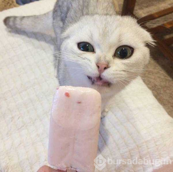 Günün en çok paylaşılan fotoğrafları