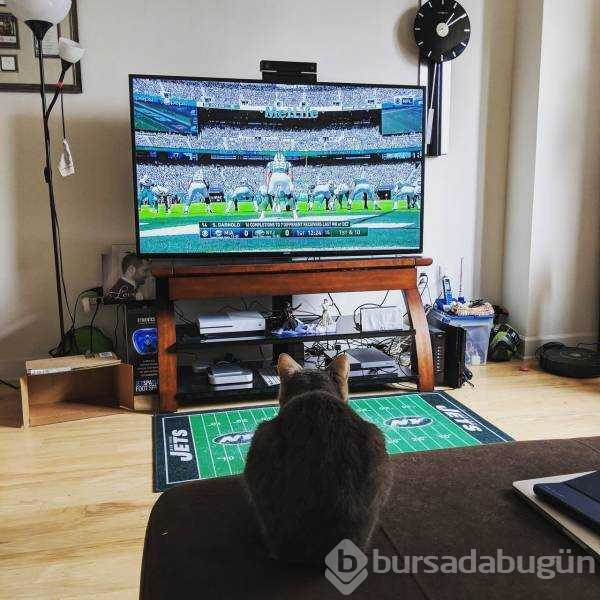 Günün en çok paylaşılan fotoğrafları