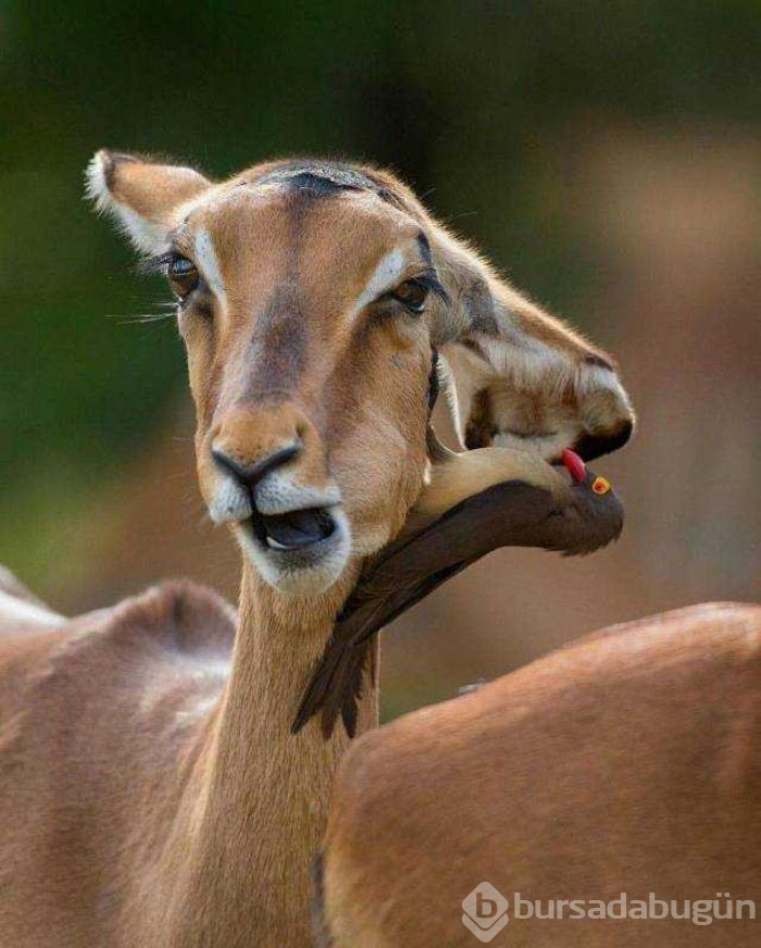 Günün en çok paylaşılan fotoğrafları