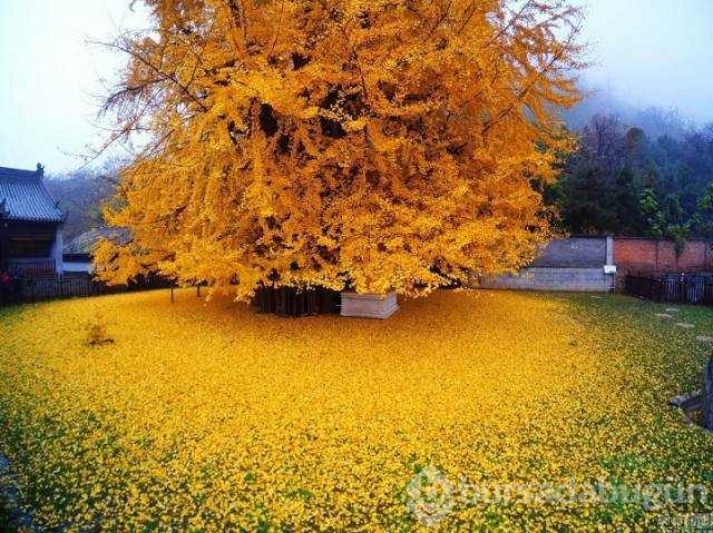 Günün en çok paylaşılan fotoğrafları