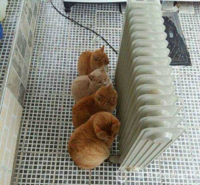 Günün en çok paylaşılan fotoğrafları