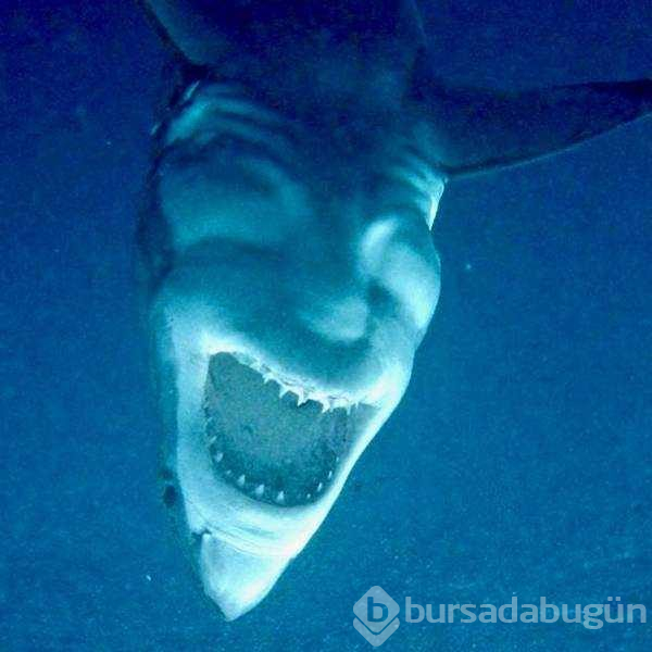 Günün en çok paylaşılan fotoğrafları