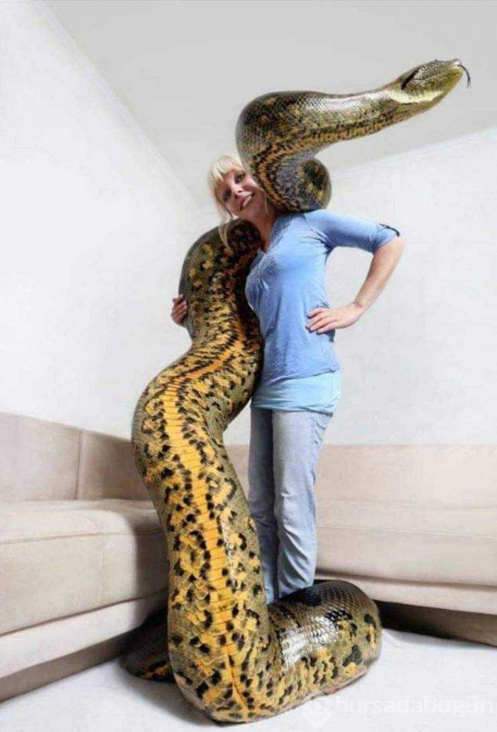 Günün en çok paylaşılan fotoğrafları