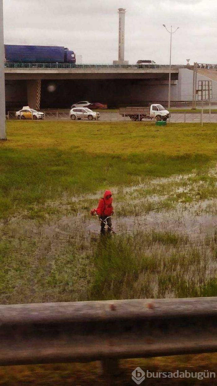 Günün en çok paylaşılan fotoğrafları