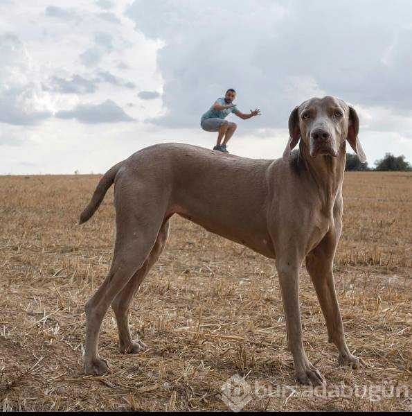 Günün en çok paylaşılan fotoğrafları