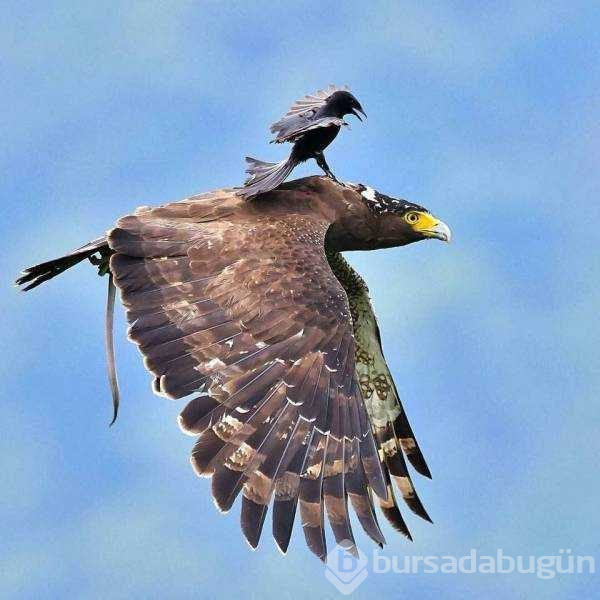 Günün en çok paylaşılan fotoğrafları
