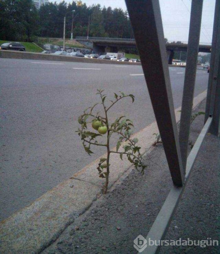 Günün en çok paylaşılan fotoğrafları