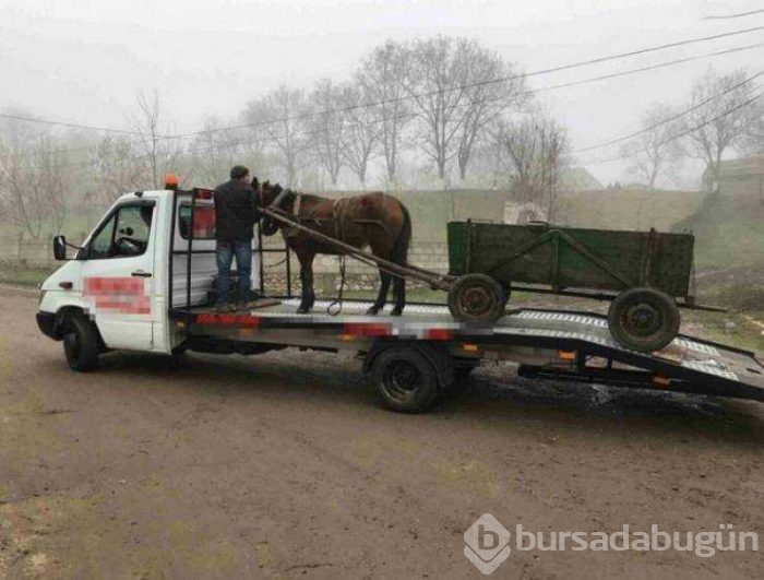 Günün en çok paylaşılan fotoğrafları