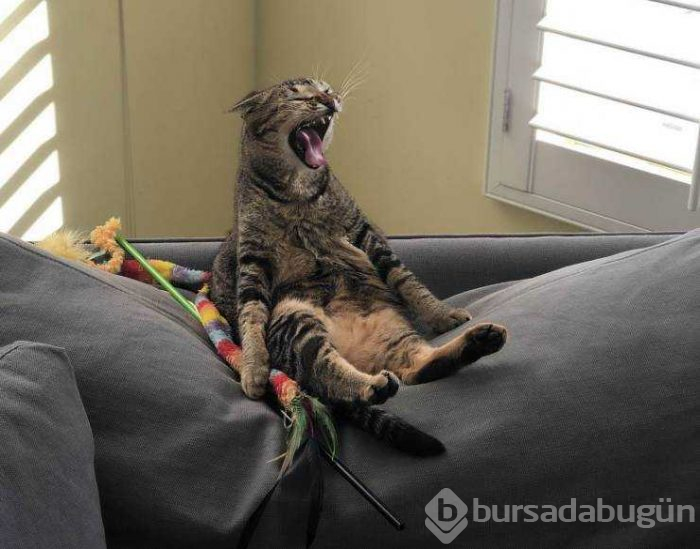 Günün en çok paylaşılan fotoğrafları