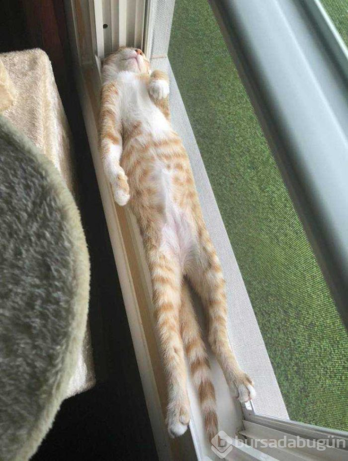 Günün en çok paylaşılan fotoğrafları