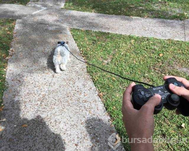 Günün en çok paylaşılan fotoğrafları