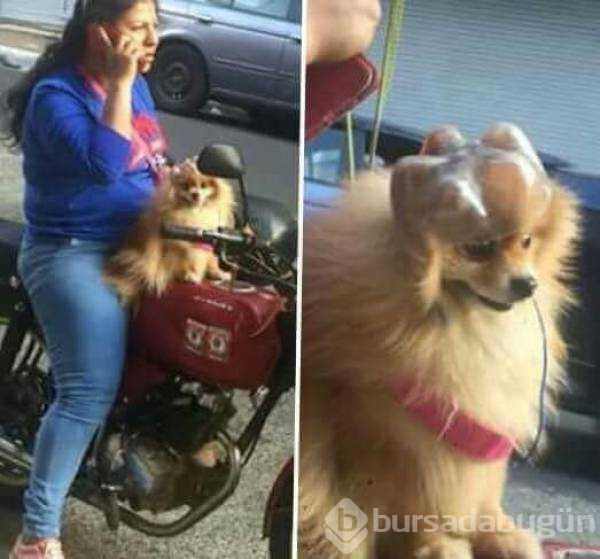Günün en çok paylaşılan fotoğrafları