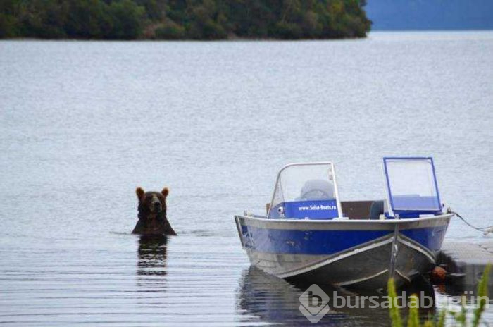 Günün en çok paylaşılan fotoğrafları