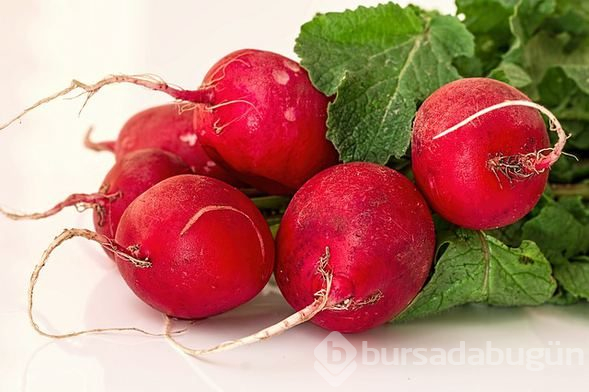 Sonbaharda tüketilmesi gereken 10 besin