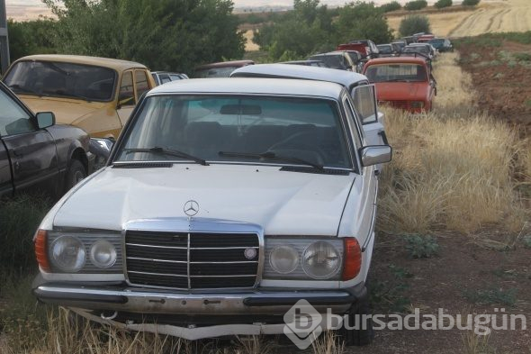 Bir evde 50 araç, gören şaşırıyor
