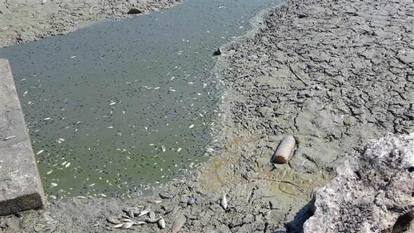 Oruçlu Göleti'ne tankerle su taşınıyor