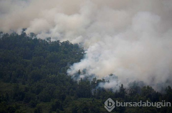 Endonezya'da yangınlar devam ediyor