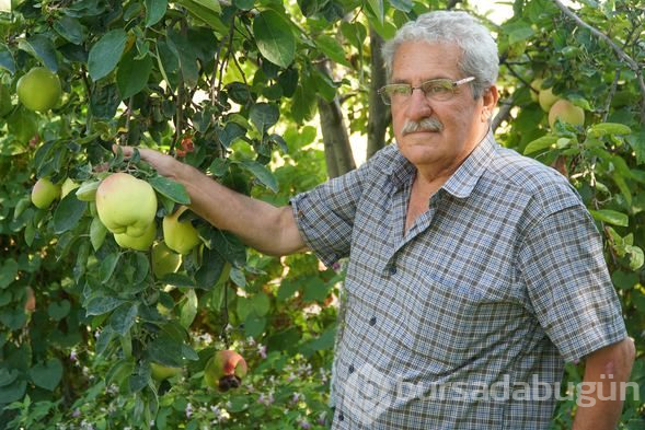 Bu meyvenin adını bilen yok