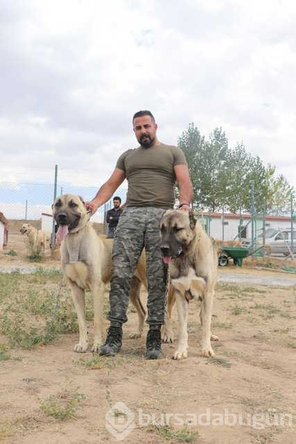 Türk sınırlarını Kangallar koruyacak