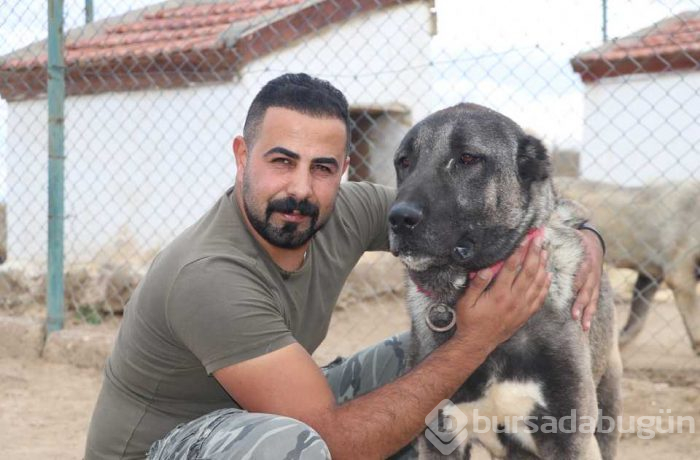 Türk sınırlarını Kangallar koruyacak