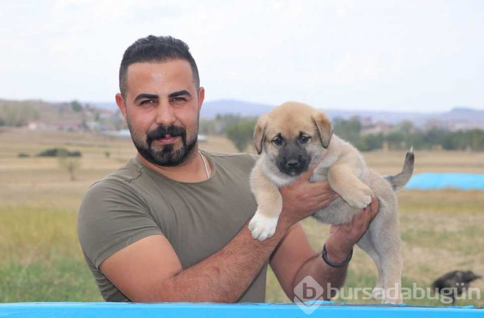 Türk sınırlarını Kangallar koruyacak
