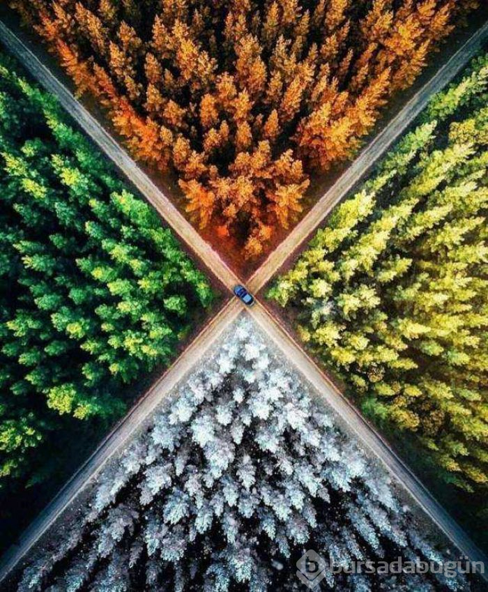 Günün en çok paylaşılan fotoğrafları