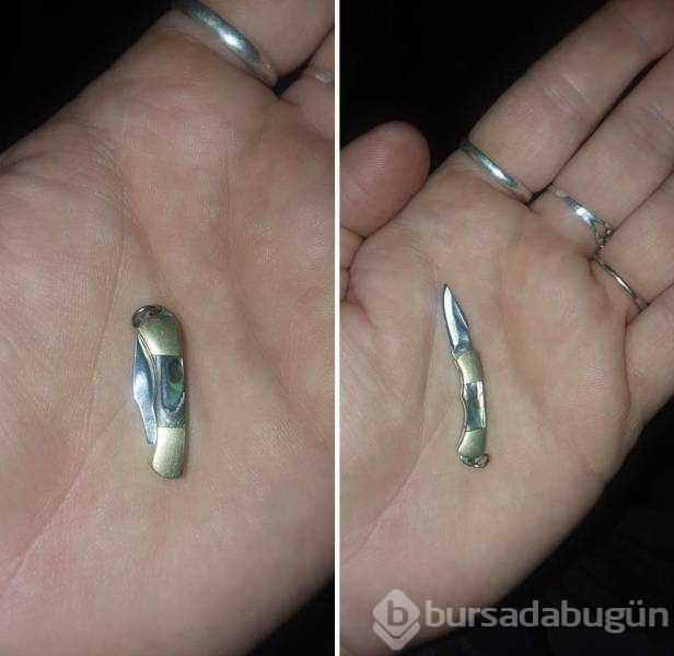 Günün en çok paylaşılan fotoğrafları